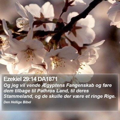 Ezekiel 29:14 DA1871 Bible Verse Image