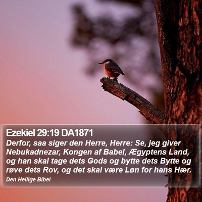 Ezekiel 29:19 DA1871 Bible Verse Image