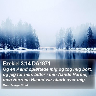 Ezekiel 3:14 DA1871 Bible Verse Image