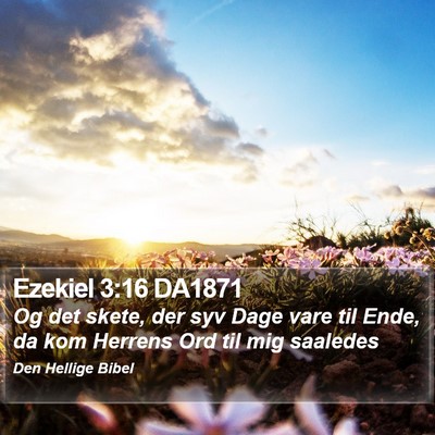 Ezekiel 3:16 DA1871 Bible Verse Image