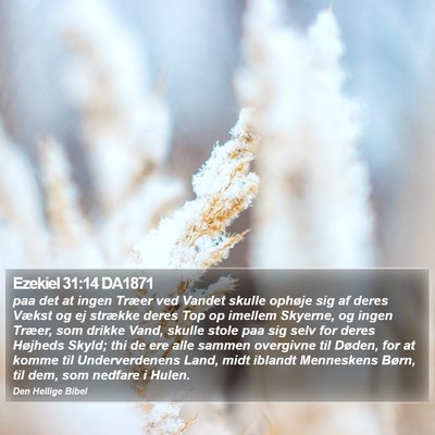 Ezekiel 31:14 DA1871 Bible Verse Image