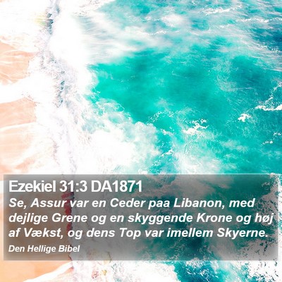 Ezekiel 31:3 DA1871 Bible Verse Image