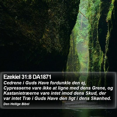 Ezekiel 31:8 DA1871 Bible Verse Image