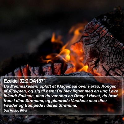 Ezekiel 32:2 DA1871 Bible Verse Image