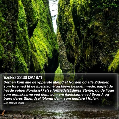 Ezekiel 32:30 DA1871 Bible Verse Image