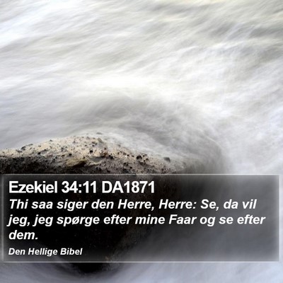 Ezekiel 34:11 DA1871 Bible Verse Image
