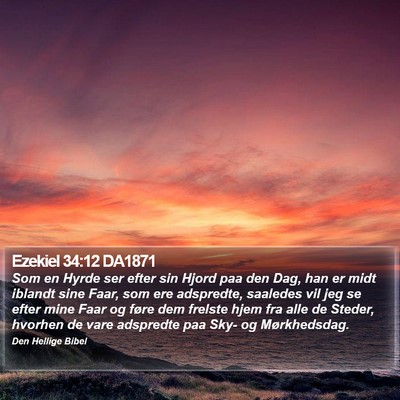 Ezekiel 34:12 DA1871 Bible Verse Image
