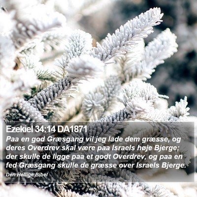 Ezekiel 34:14 DA1871 Bible Verse Image