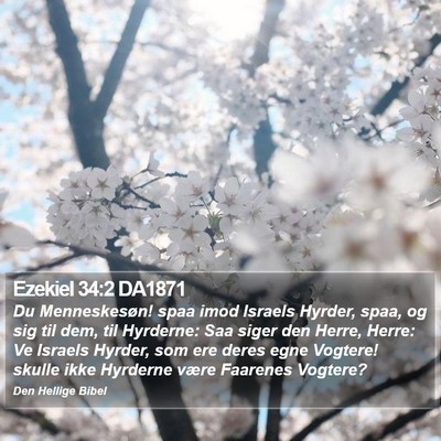 Ezekiel 34:2 DA1871 Bible Verse Image