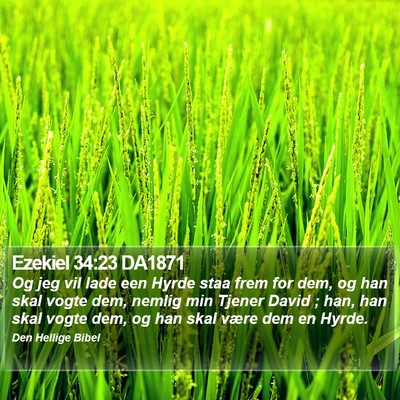 Ezekiel 34:23 DA1871 Bible Verse Image