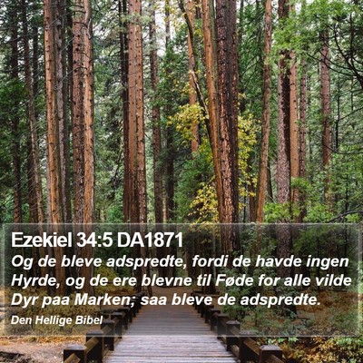 Ezekiel 34:5 DA1871 Bible Verse Image