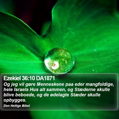 Ezekiel 36:10 DA1871 Bible Verse Image
