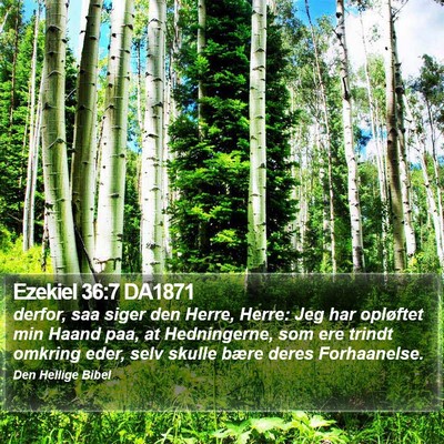 Ezekiel 36:7 DA1871 Bible Verse Image