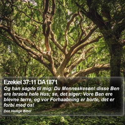 Ezekiel 37:11 DA1871 Bible Verse Image