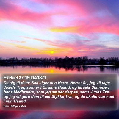 Ezekiel 37:19 DA1871 Bible Verse Image