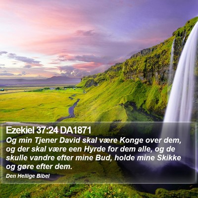 Ezekiel 37:24 DA1871 Bible Verse Image