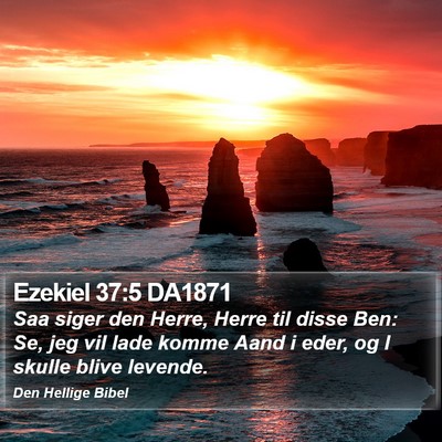 Ezekiel 37:5 DA1871 Bible Verse Image