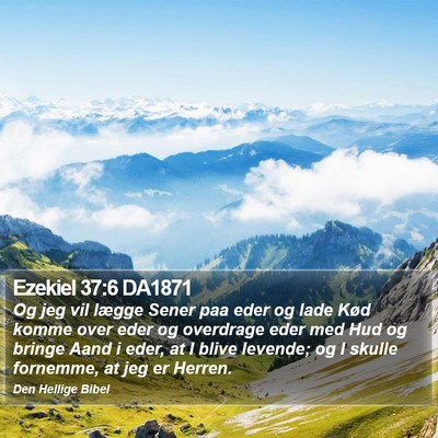 Ezekiel 37:6 DA1871 Bible Verse Image