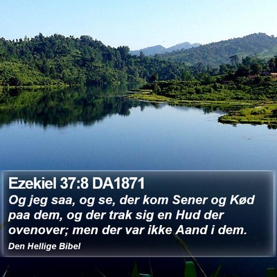 Ezekiel 37:8 DA1871 Bible Verse Image