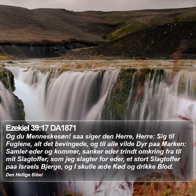 Ezekiel 39:17 DA1871 Bible Verse Image