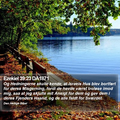 Ezekiel 39:23 DA1871 Bible Verse Image