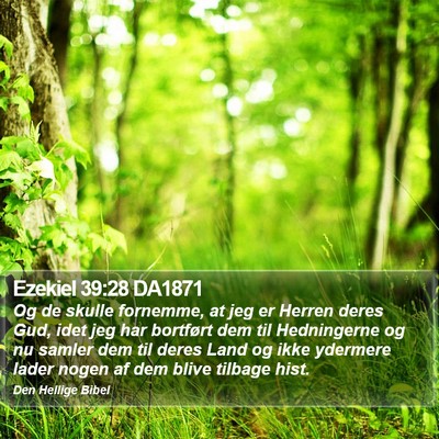 Ezekiel 39:28 DA1871 Bible Verse Image