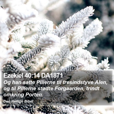 Ezekiel 40:14 DA1871 Bible Verse Image