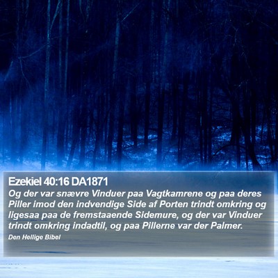 Ezekiel 40:16 DA1871 Bible Verse Image