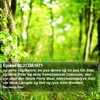 Ezekiel 40:21 DA1871 Bible Verse Image