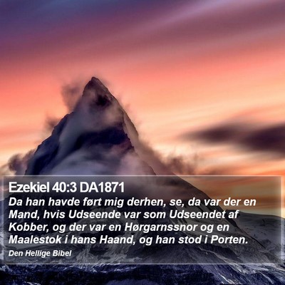 Ezekiel 40:3 DA1871 Bible Verse Image