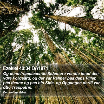 Ezekiel 40:34 DA1871 Bible Verse Image