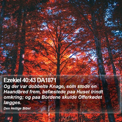 Ezekiel 40:43 DA1871 Bible Verse Image
