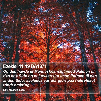 Ezekiel 41:19 DA1871 Bible Verse Image