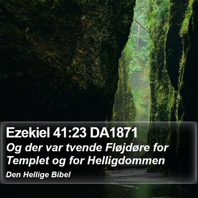 Ezekiel 41:23 DA1871 Bible Verse Image