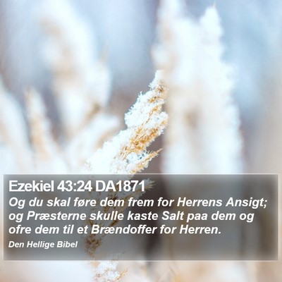 Ezekiel 43:24 DA1871 Bible Verse Image