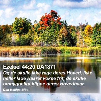Ezekiel 44:20 DA1871 Bible Verse Image
