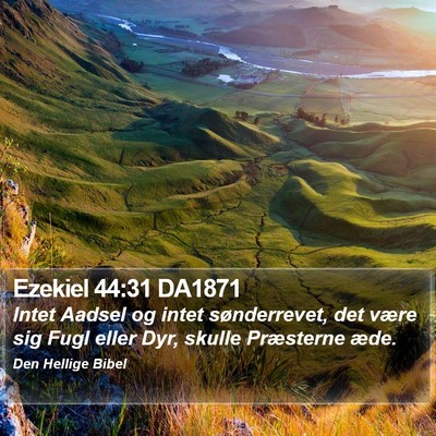 Ezekiel 44:31 DA1871 Bible Verse Image