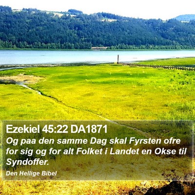 Ezekiel 45:22 DA1871 Bible Verse Image