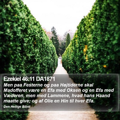 Ezekiel 46:11 DA1871 Bible Verse Image