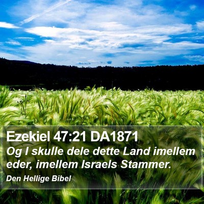 Ezekiel 47:21 DA1871 Bible Verse Image