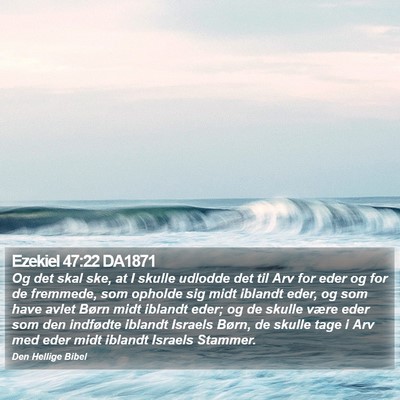 Ezekiel 47:22 DA1871 Bible Verse Image