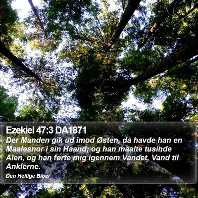 Ezekiel 47:3 DA1871 Bible Verse Image