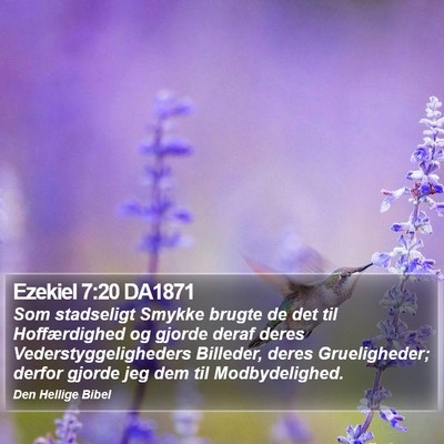Ezekiel 7:20 DA1871 Bible Verse Image