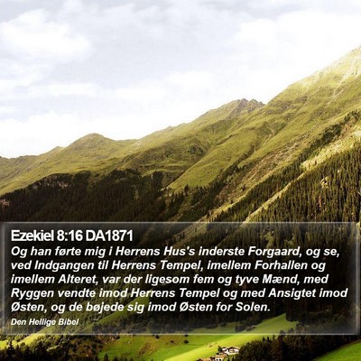 Ezekiel 8:16 DA1871 Bible Verse Image