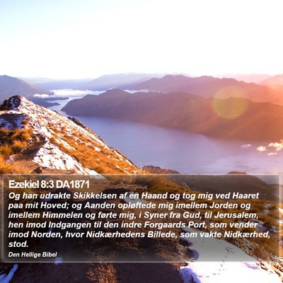 Ezekiel 8:3 DA1871 Bible Verse Image