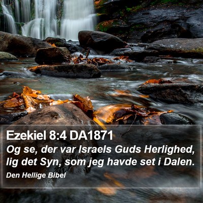 Ezekiel 8:4 DA1871 Bible Verse Image