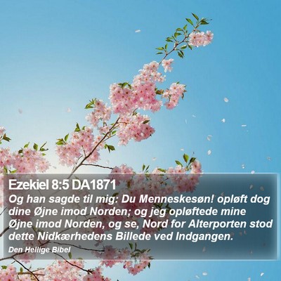 Ezekiel 8:5 DA1871 Bible Verse Image