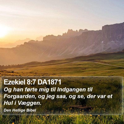 Ezekiel 8:7 DA1871 Bible Verse Image