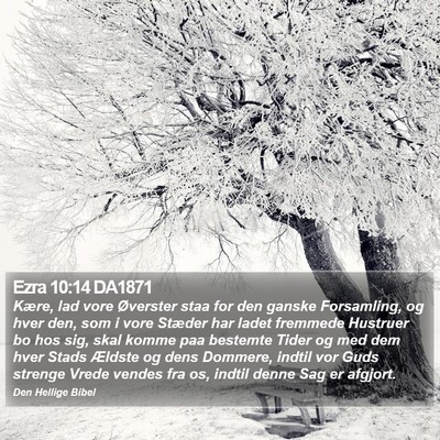 Ezra 10:14 DA1871 Bible Verse Image