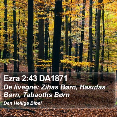 Ezra 2:43 DA1871 Bible Verse Image